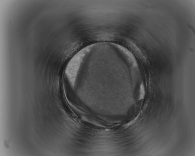 X0000091690202200709201305