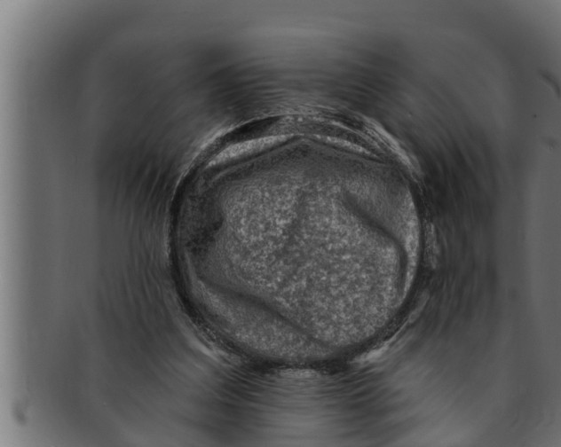 X0000091690203200709201305