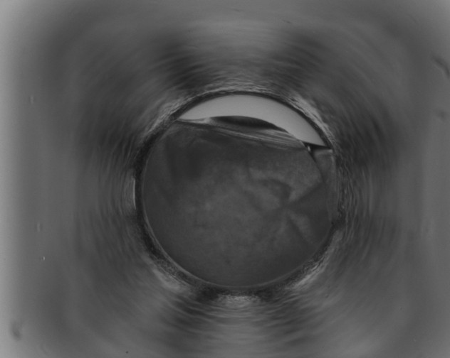 X0000091690205200709201305