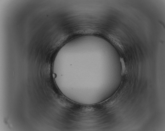 X0000091690206200709201305