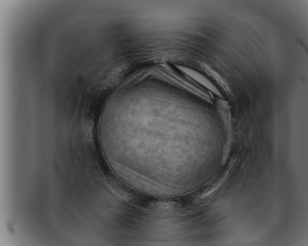 X0000091690209200709201305