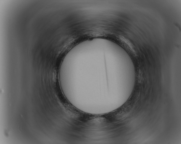 X0000091690210200709201305