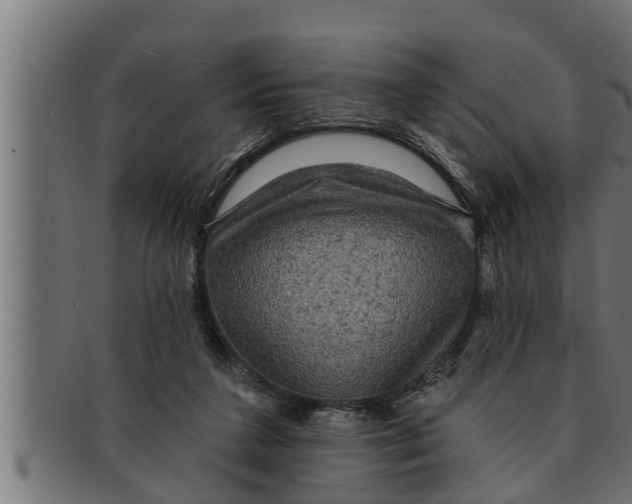 X0000091690211200709201305