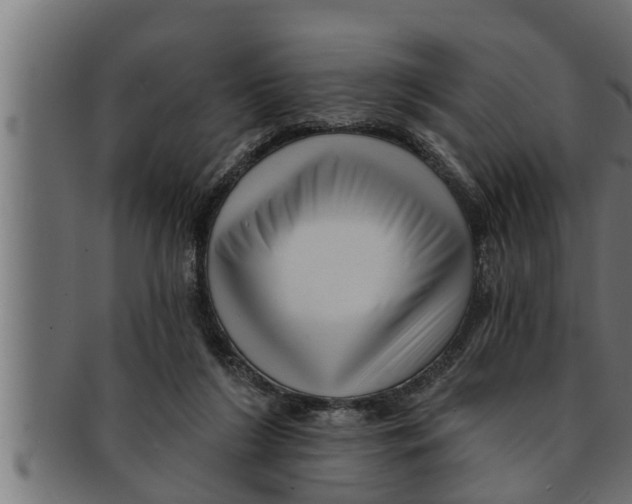 X0000091690212200709201305