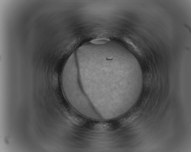 X0000091690213200709201305