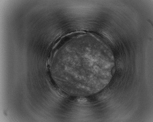 X0000091690214200709201305