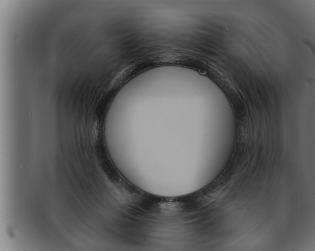 X0000091690216200709201305