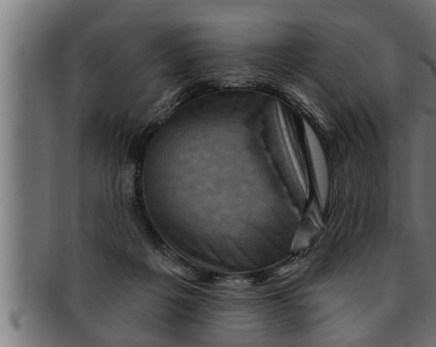 X0000091690217200709201305