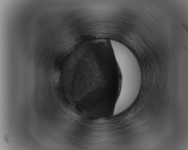 X0000091690219200709201305