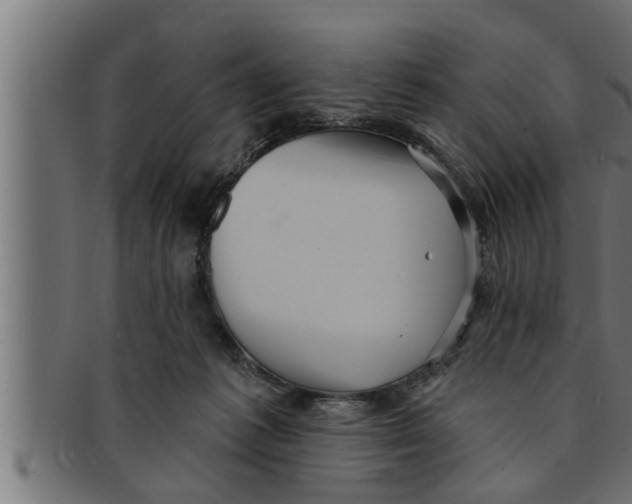 X0000091690221200709201305