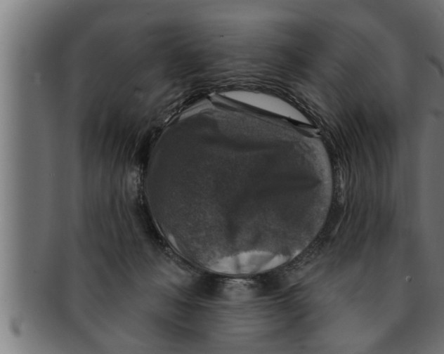 X0000091690222200709201305