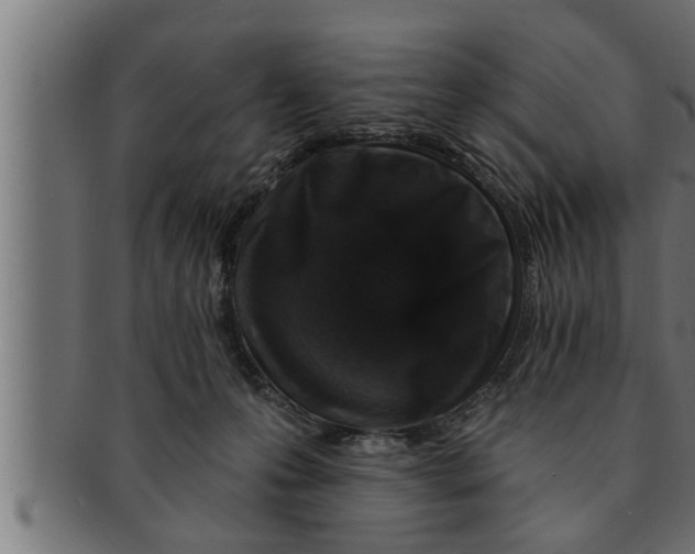 X0000091690223200709201305