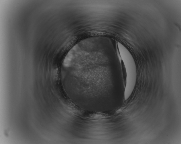 X0000091690224200709201305