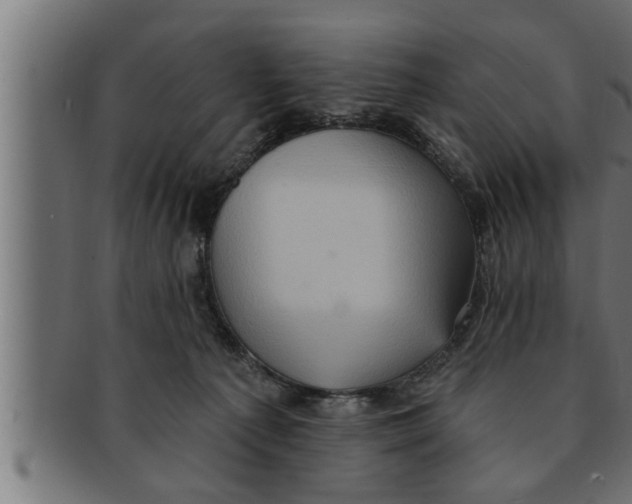 X0000091690225200709201305