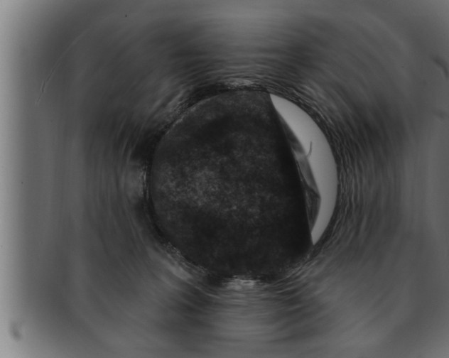 X0000091690227200709201305