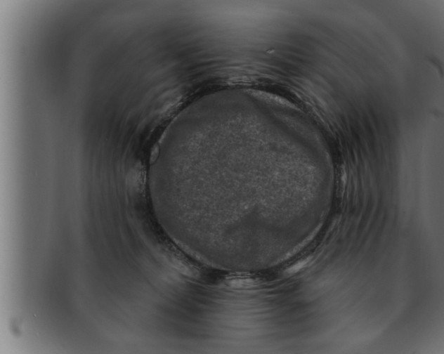 X0000091690228200709201305