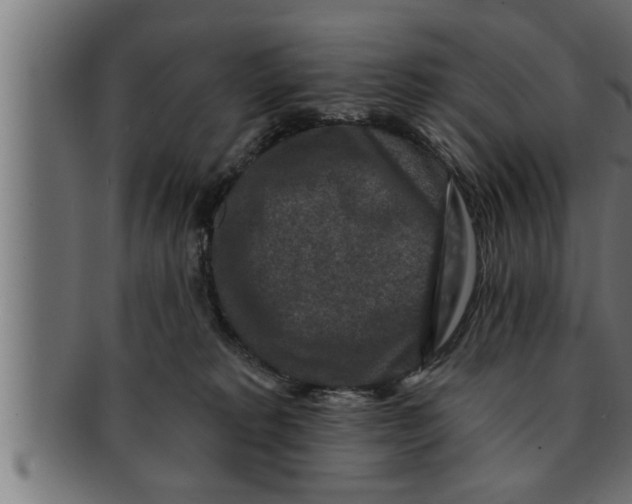 X0000091690229200709201304