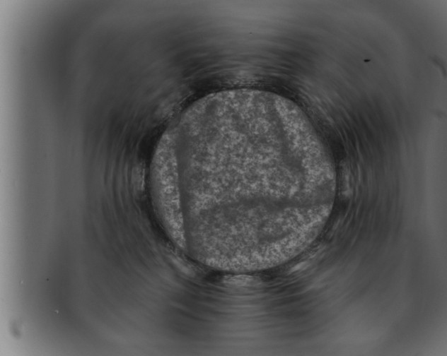 X0000091690230200709201304