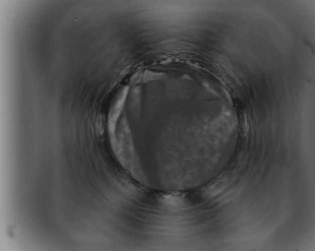 X0000091690232200709201304