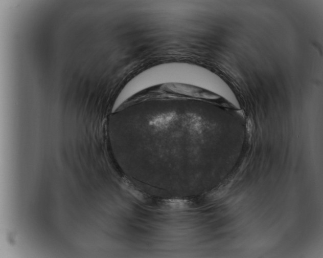 X0000091690233200709201304