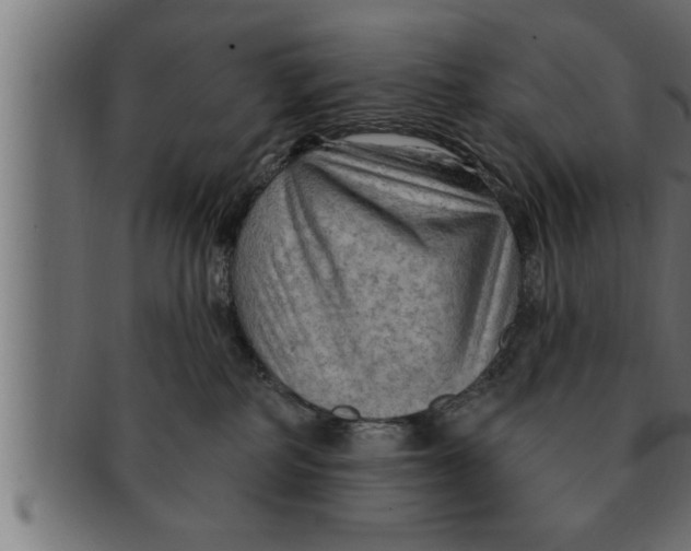 X0000091690234200709201304