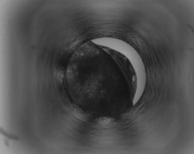 X0000091690235200709201304