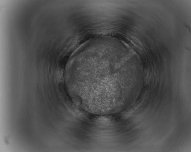 X0000091690236200709201304