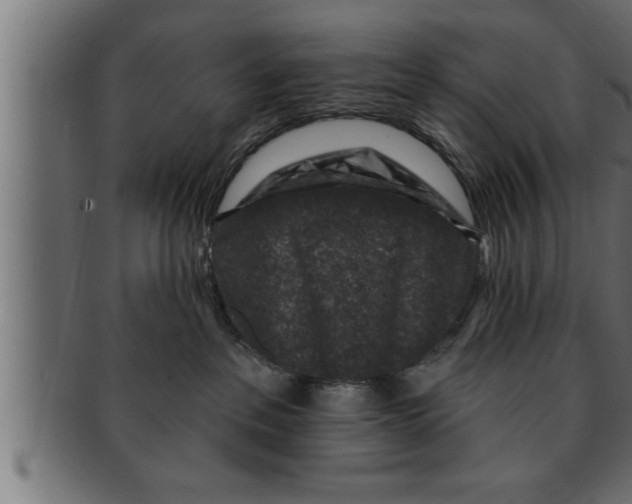 X0000091690237200709201304