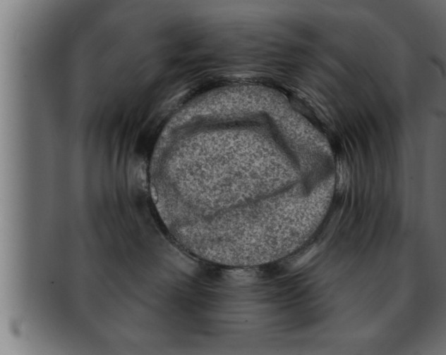 X0000091690238200709201304