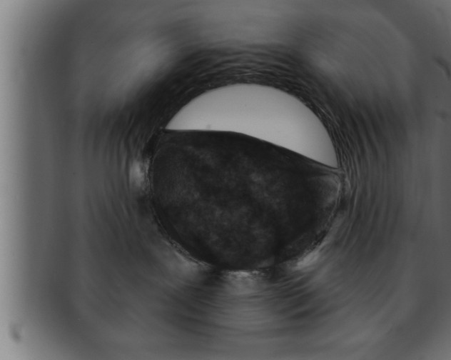 X0000091690239200709201304