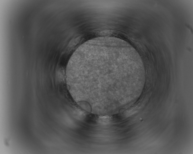 X0000091690240200709201304