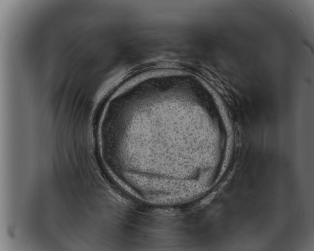 X0000091690245200709201304