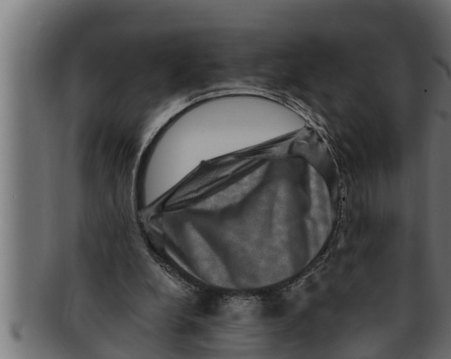 X0000091690248200709201304