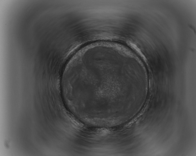 X0000091690249200709201304