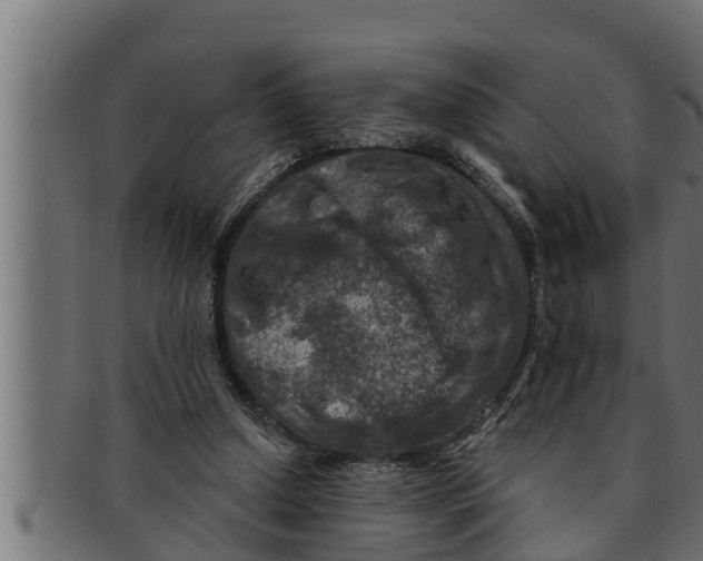 X0000091690250200709201304