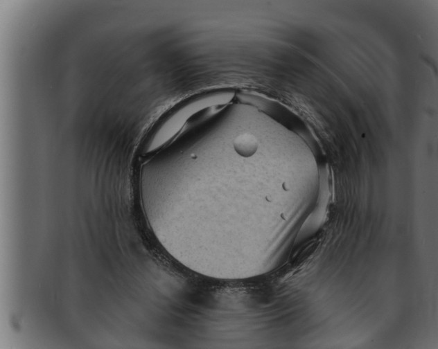 X0000091690252200709201304