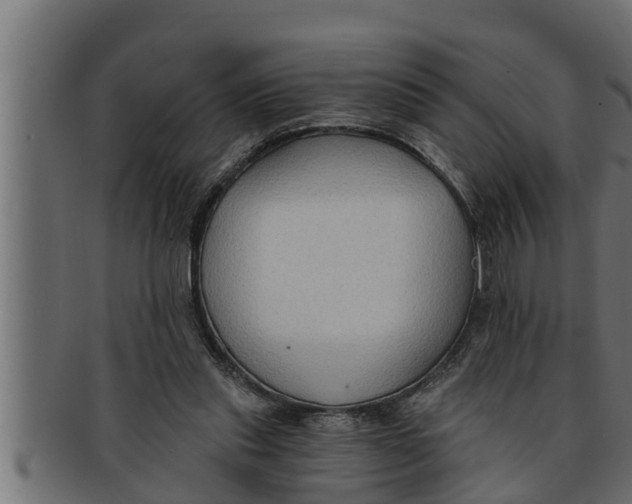 X0000091690253200709201304