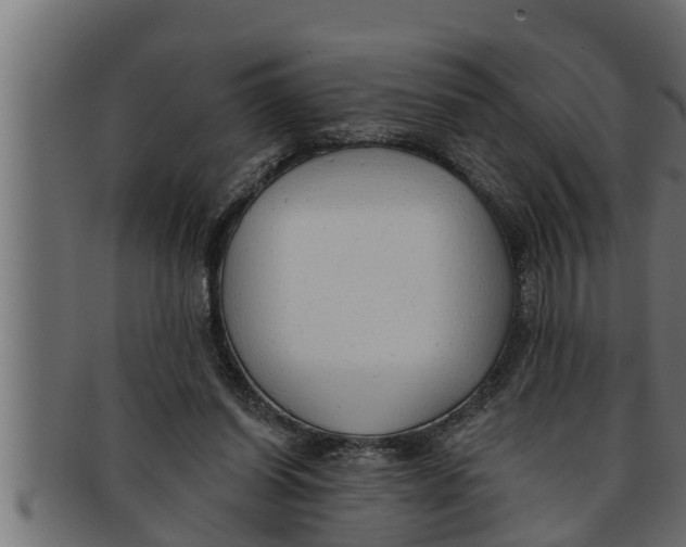 X0000091690254200709201304