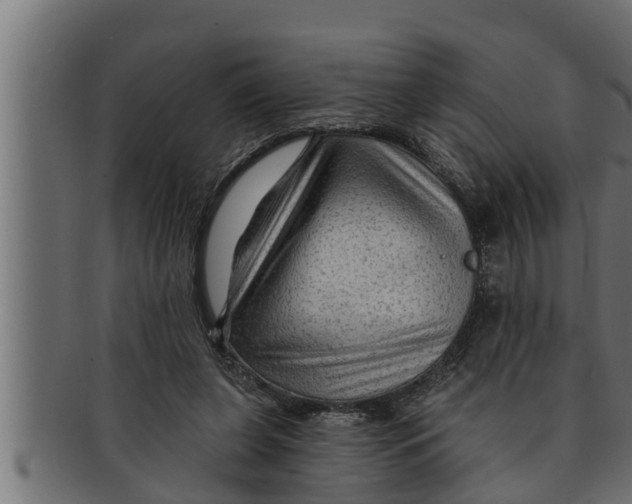 X0000091690255200709201304