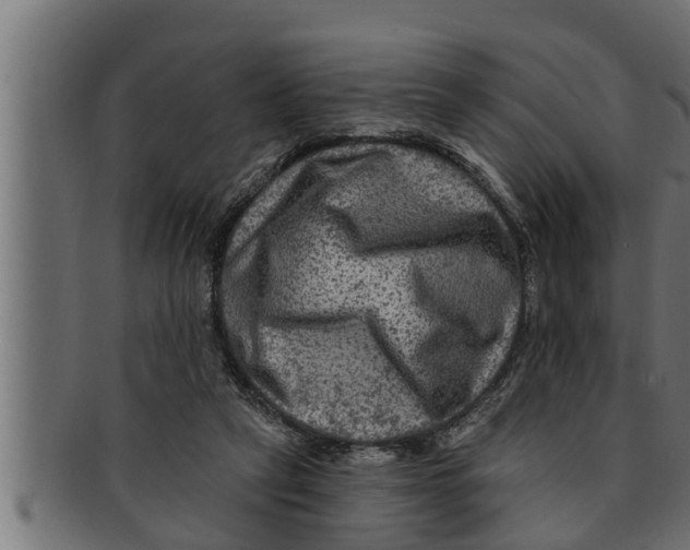 X0000091690257200709201304