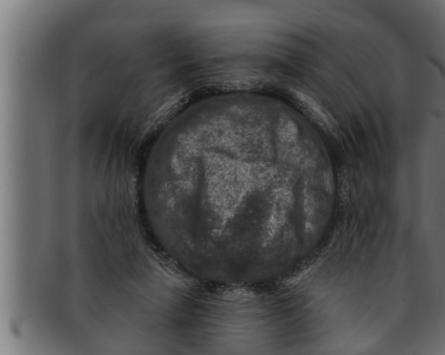 X0000091690258200709201304