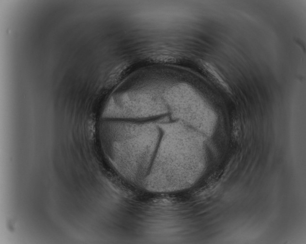 X0000091690259200709201304