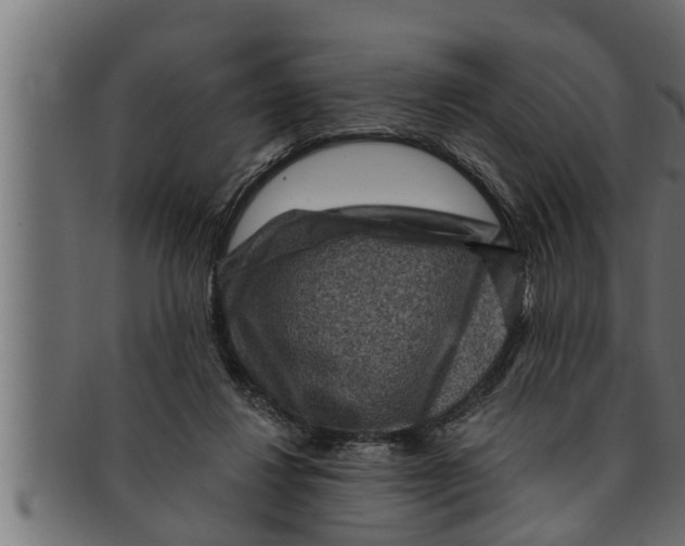 X0000091690260200709201304