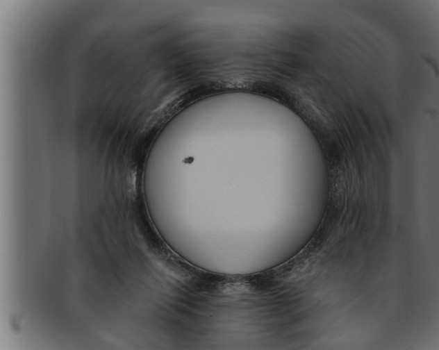 X0000091690262200709201304