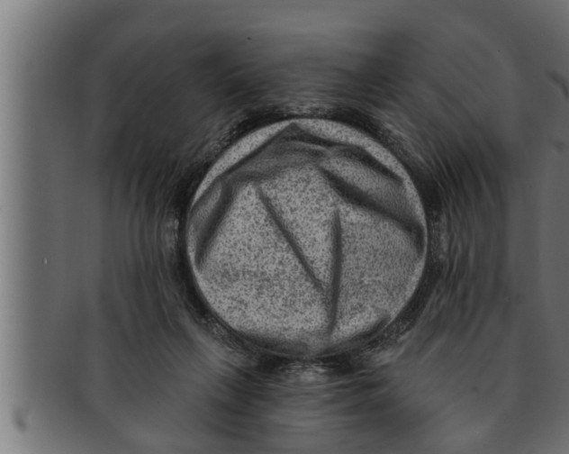 X0000091690263200709201304