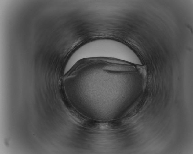 X0000091690264200709201304