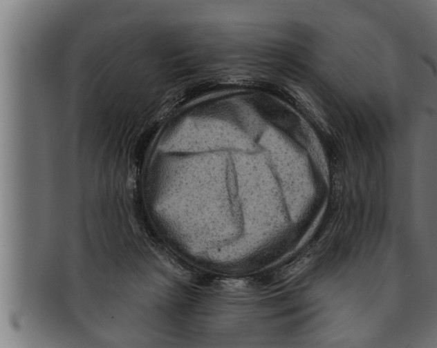 X0000091690265200709201304