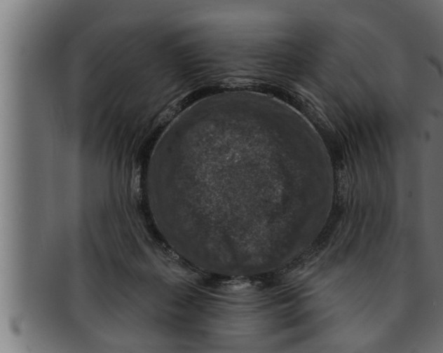 X0000091690267200709201304