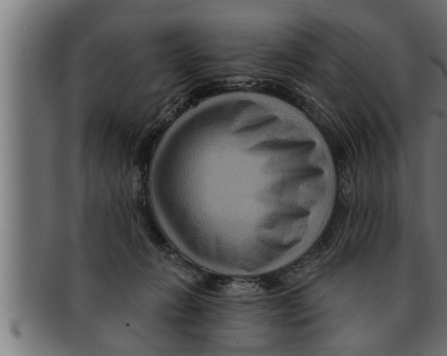 X0000091690270200709201304