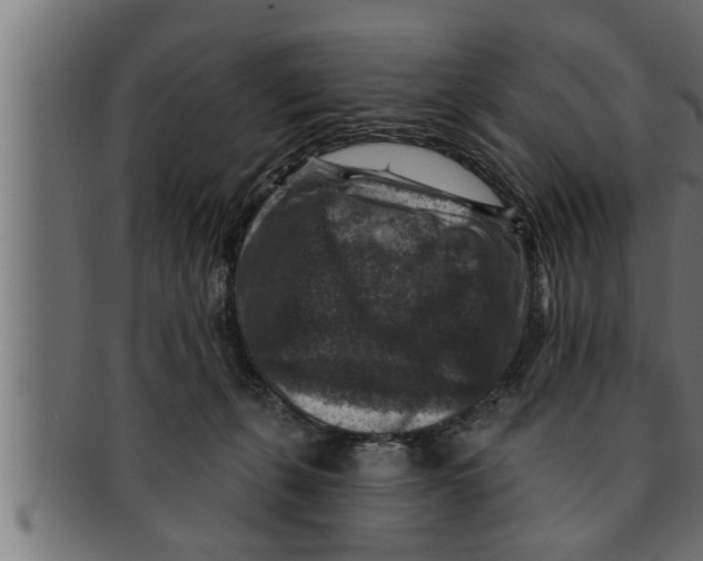 X0000091690271200709201304